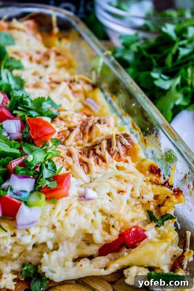 Cheesy Creamy Chicken Enchiladas cream chicken enchiladas with cheese