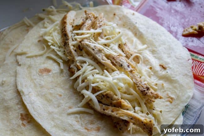 Enchilada Rolling tortilla with chicken and cheese