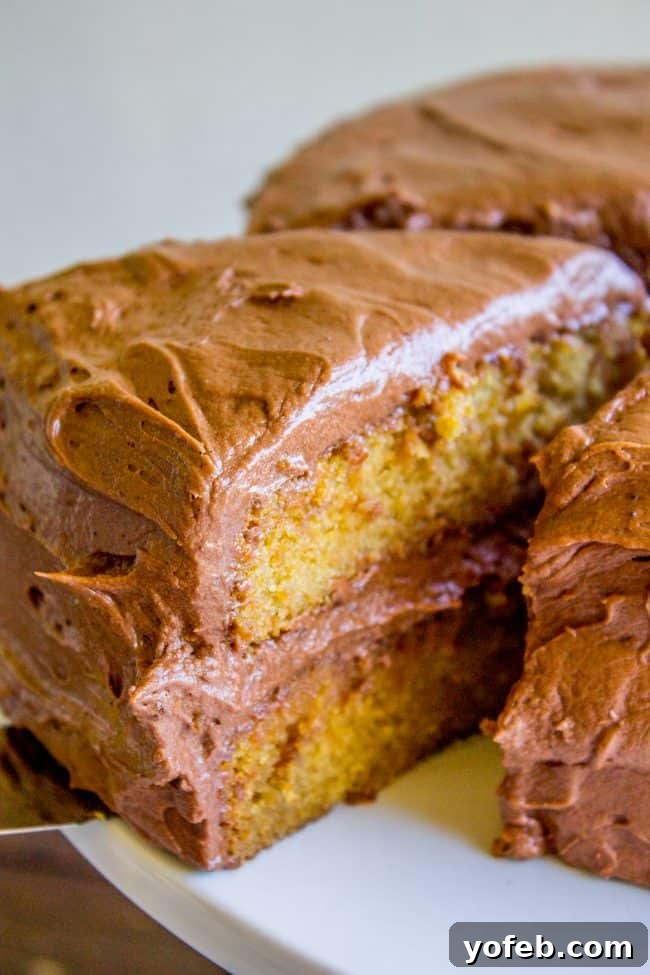 A whole brown sugar yellow cake with chocolate frosting, showcasing its delightful appearance and ready for any celebration. A classic brown sugar yellow cake, generously frosted with homemade chocolate buttercream, sliced and ready for serving.