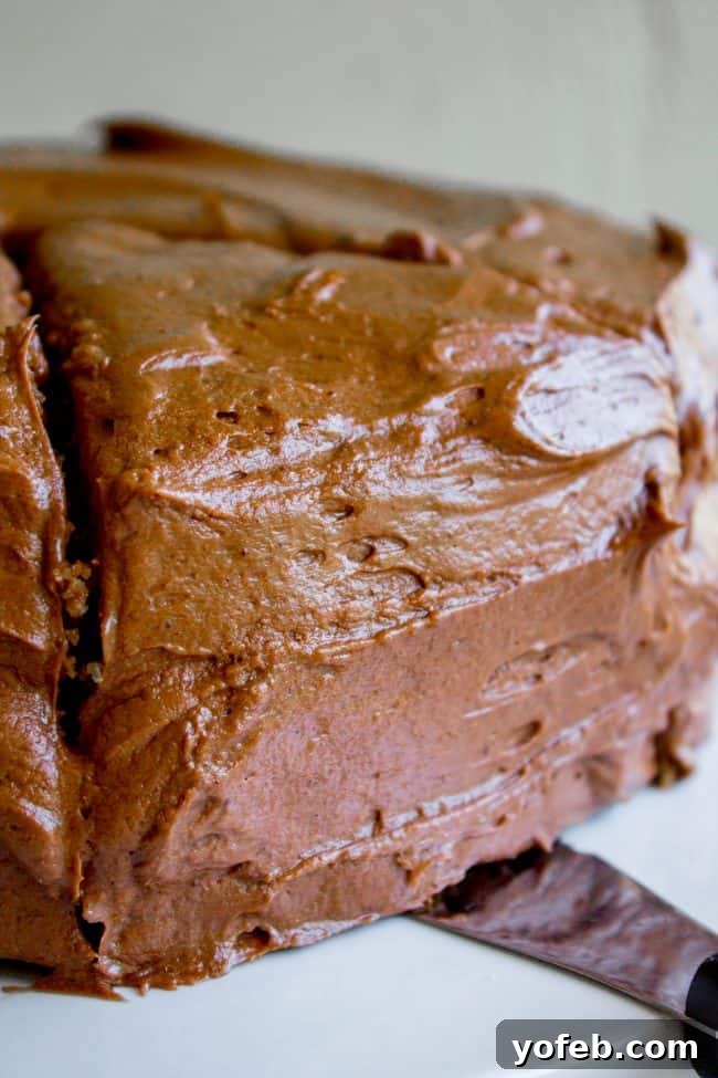 Irresistible Brown Sugar Cake 2 A beautifully frosted layer cake, featuring a moist yellow cake base and generously spread chocolate buttercream icing.