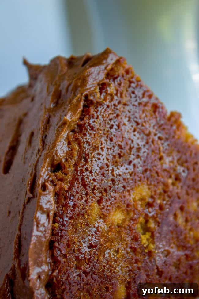 The exquisite underside of a brown sugar yellow cake, showcasing its perfect bake and rich, non-dry edges, even before frosting. The perfectly baked underside of a chocolate-frosted yellow cake, showing its moist and evenly textured crust.