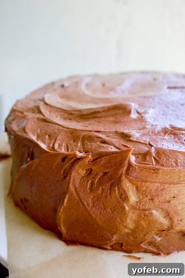 A classic yellow cake lavishly frosted with creamy chocolate buttercream, showcasing its inviting texture and delicious appeal. A beautifully decorated yellow cake with rich chocolate frosting, garnished with chocolate shavings, creating an inviting dessert display.