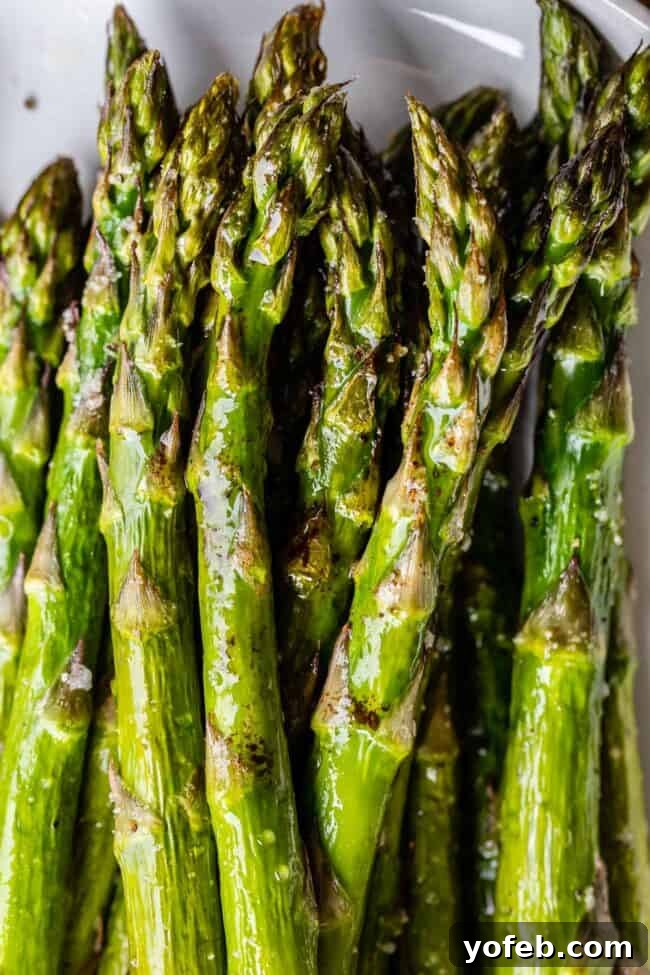 Achieve perfectly roasted asparagus every time with this foolproof recipe. A delicious and healthy side that pairs well with anything. #RoastedVeggies #HealthyEating #SimpleRecipe A serving of beautifully oven-roasted asparagus on a pristine white plate, showcasing its vibrant green color and tender texture.