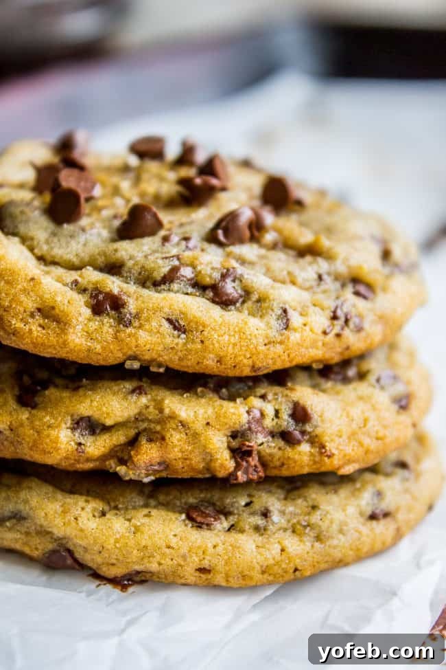 Golden Maple-Spiced Chocolate Chip Cookies 11 Chocolate chip cookie dough with mini chocolate chips