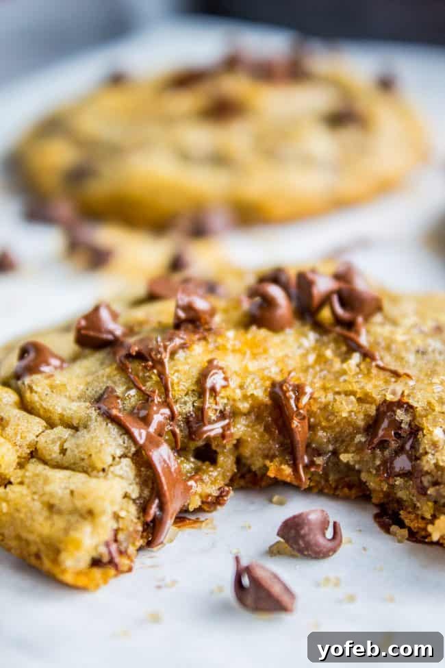 Golden Maple-Spiced Chocolate Chip Cookies 4 Freshly baked homemade chocolate chip cookies on parchment paper