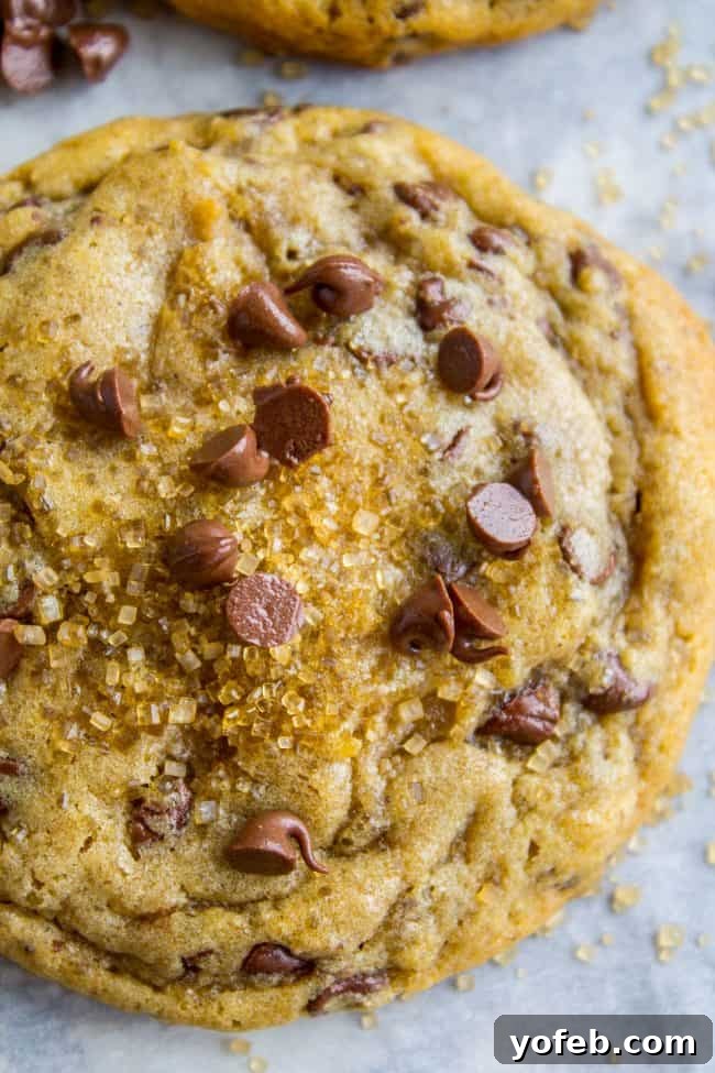 Golden Maple-Spiced Chocolate Chip Cookies 5 Ingredients for chocolate chip cookies, including mini chocolate chips