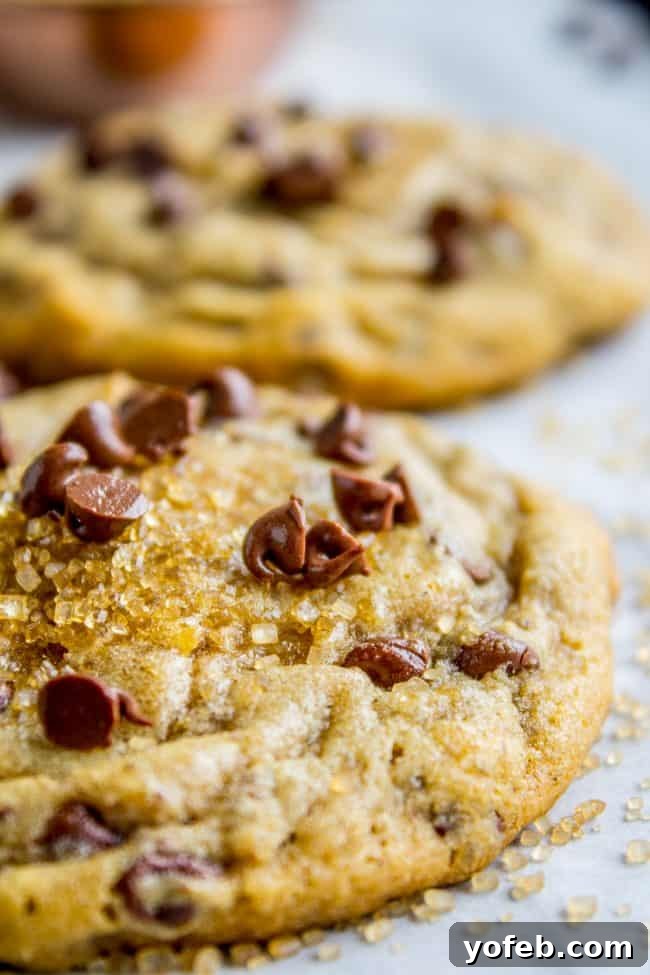 Golden Maple-Spiced Chocolate Chip Cookies 6 Stack of fresh chocolate chip cookies with melted chocolate