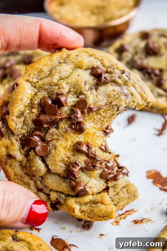 Golden Maple-Spiced Chocolate Chip Cookies 7 A plate of homemade chocolate chip cookies ready to be enjoyed