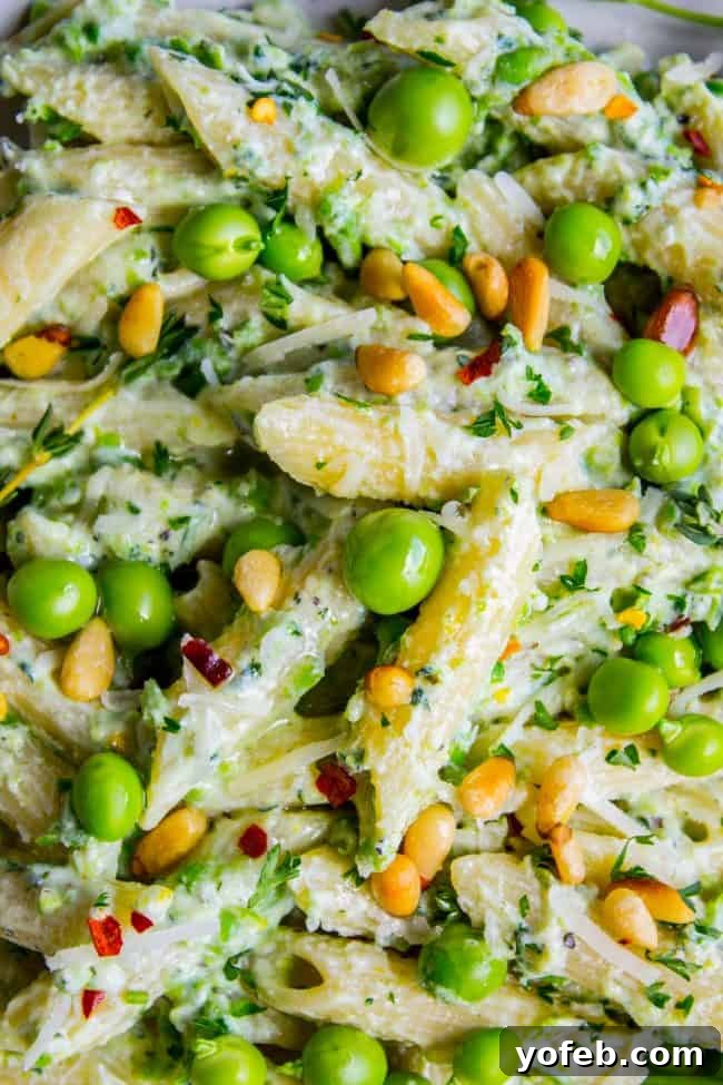 Lemon Ricotta Pasta with Fresh Peas (30 Minutes) from The Food Charlatan. This lemon pasta recipe is perfect for summer! It is so easy and done in 30 minutes. The cheesy sauce is made by blending ricotta with peas and lemon. Top it with Parmesan and garden fresh peas, and you have a hearty vegetarian dinner! It's so good! #pasta #lemonpasta #ricotta #ricottapasta #peas #freshpeas #pinenuts #summer #easy #easyrecipe #30minutes #parmesan #garlic #creamy #sauce #healthy #vegetarian #onepot Lemon Ricotta Pasta with Fresh Peas - a perfect summer recipe ready in 30 minutes, topped with Parmesan and fresh peas