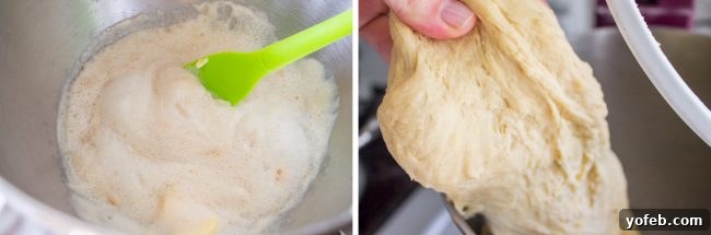 Visual guide for making Nutella Filled Donuts: See the active yeast proofing and the perfectly kneaded soft dough that won't stick, ensuring fluffy results. Left image shows foamy yeast mixture after proofing, indicating active yeast. Right image shows soft, non-sticky dough after kneading, ready for its first rise.