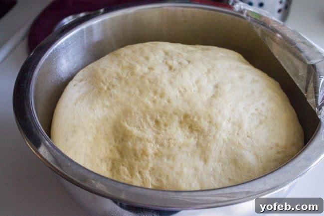 Observe the impressive rise of Nutella Filled Donut dough, achieving maximum softness and moisture after resting in its homemade oven sauna. Soft, moist donut dough in a metal bowl, significantly doubled in size after its first rise in a warm, humid 'sauna' environment inside the oven.