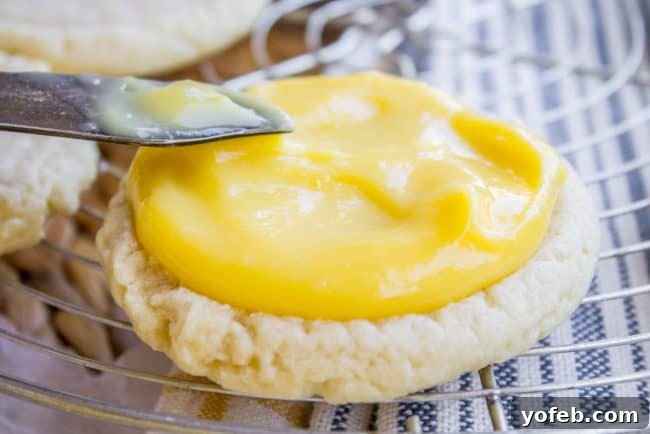 The Best Lemon Curd Sandwich Cookies for Any Occasion A single lemon curd sugar cookie sandwich resting on a white plate, showcasing the delicate crumble of the cookie.