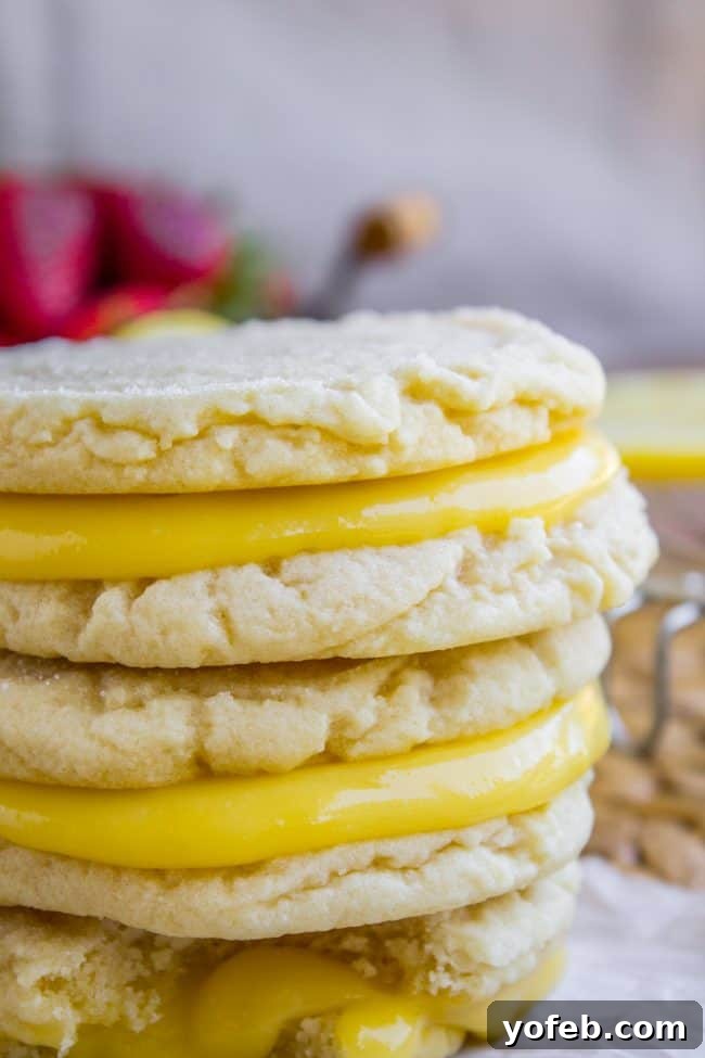 Soft Sugar Cookies with Lemon Curd Filling - A Delectable Treat A close-up shot of a freshly baked sugar cookie, highlighting its golden edges and soft, slightly dimpled surface.