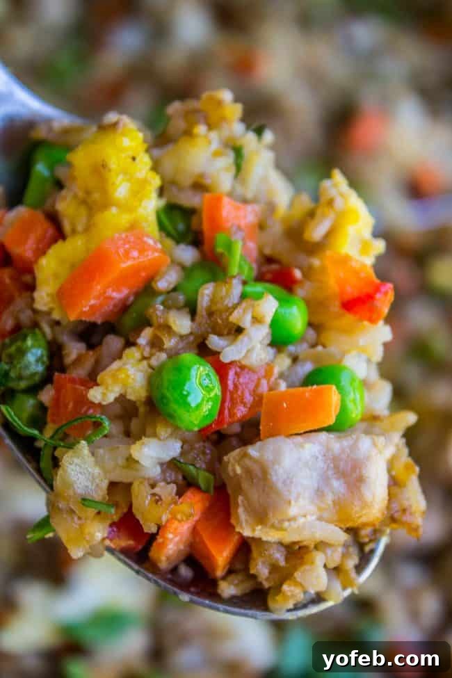 Close-up of freshly cooked Sheet Pan Chicken Fried Rice in a serving bowl, garnished with green onions and cilantro