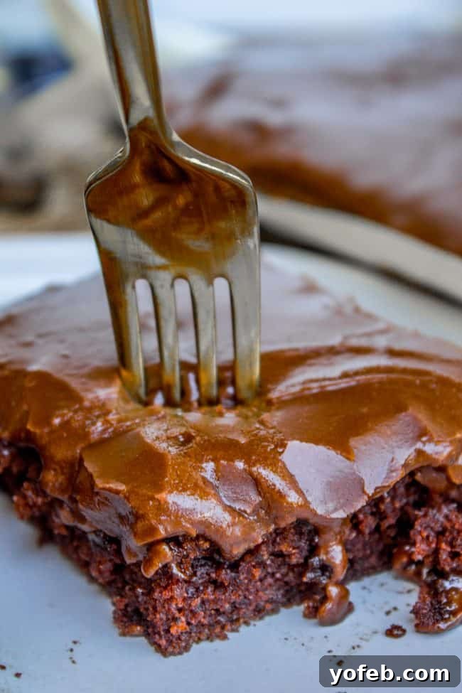 The Best Ever Texas Sheet Cake: Moist, Chocolatey, and Easy to Make with Sour Cream and Brown Sugar. A delectable slice of Texas Sheet Cake with a fork, showing its rich chocolate crumb and shiny glaze.