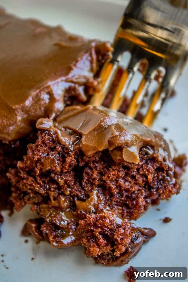 Moist Chocolate Texas Sheet Cake with Sour Cream Glaze - Easy Recipe for Crowds. A fork lifting a bite of incredibly moist Texas Chocolate Sheet Cake, revealing its tender crumb and rich glaze.