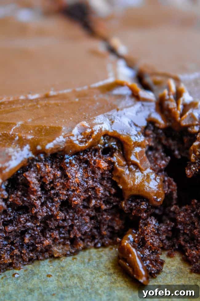 Easy and Moist Texas Sheet Cake Recipe: The Perfect Chocolate Dessert for a Crowd. Generous pieces of freshly baked Texas Chocolate Sheet Cake laid out on a baking sheet, ready to be served.
