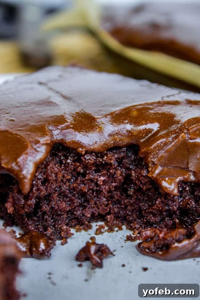 The Ultimate Guide to Storing and Freezing Texas Sheet Cake for Maximum Freshness. A large, tempting slice of Texas Chocolate Sheet Cake, showing its generous size and luscious chocolate glaze.