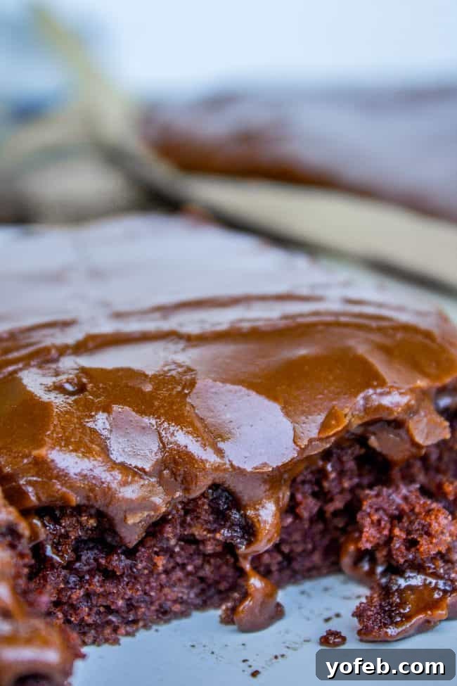 Irresistible Texas Sheet Cake Delight 2 Close-up of a rich chocolate Texas Sheet Cake with its shiny, drizzling frosting, highlighting the moist texture.