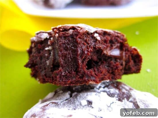 Decadent Gluten-Free Midnight Chocolate Cookies 2 Close up of a fudgy deep dark chocolate cookie with a bite taken out, revealing its soft interior.