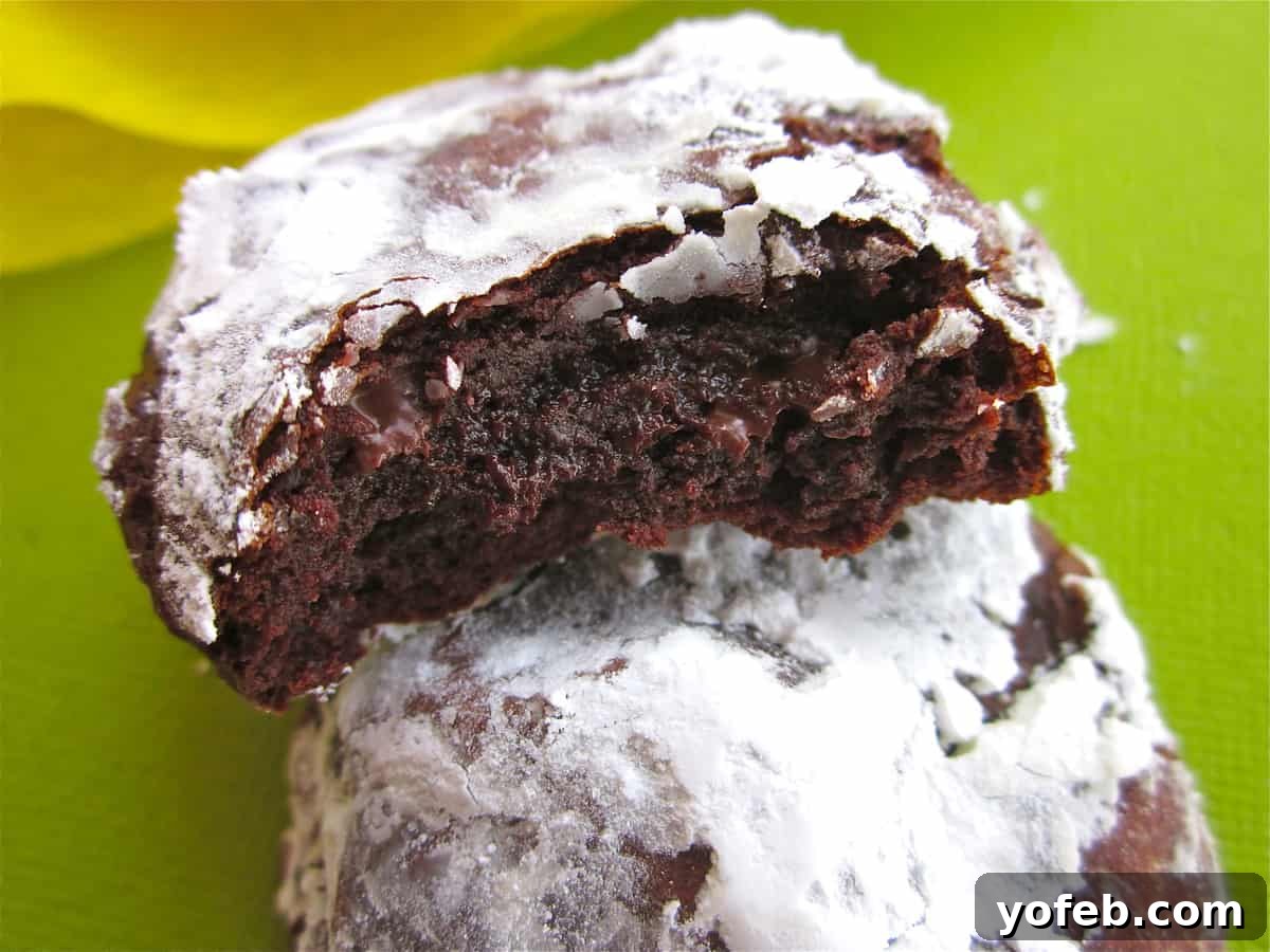 IMG_2934 A stack of two deep dark chocolate cookies, perfectly cracked on top.