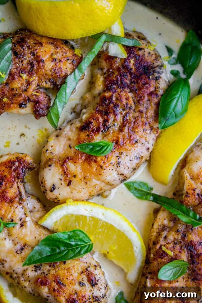 Pan-Seared Chicken in Lemon Basil Cream Sauce: Quick, Creamy & Zesty Golden-brown pan-seared chicken in a lemon basil cream sauce, garnished with fresh basil leaves and lemon slices. The dish is presented beautifully with whole lemons and a bunch of fresh basil beside a skillet.