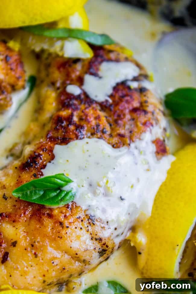 Perfectly Seared Lemon Chicken with Creamy Sauce Close-up of golden-brown pan-seared chicken tenderloins coated in a luscious lemon cream sauce, ready to be served.