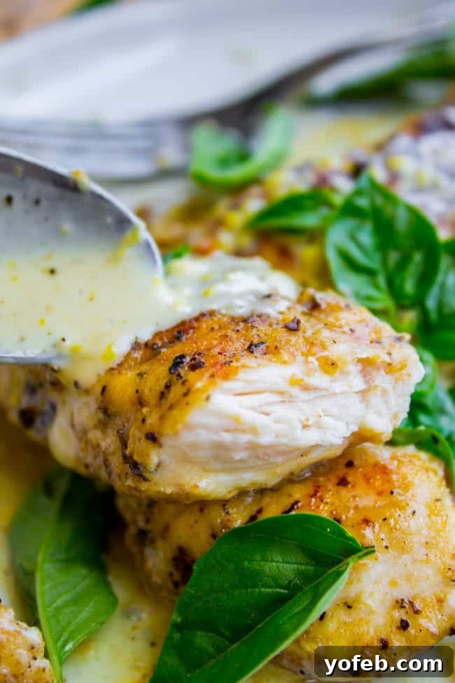 Drizzling Lemon Basil Cream Sauce on Pan-Seared Chicken Close-up of a spoon drizzling creamy lemon basil sauce over pan-seared chicken tenderloins in a skillet, showcasing the rich texture of the sauce.