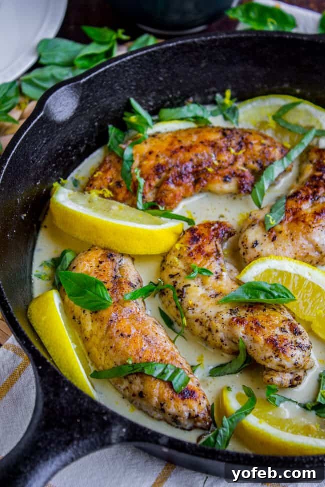 Lemon Basil Cream Chicken in Cast Iron Skillet Pan-seared chicken tenderloins generously coated in a luscious lemon basil cream sauce, served directly in a cast iron skillet, ready for the table.