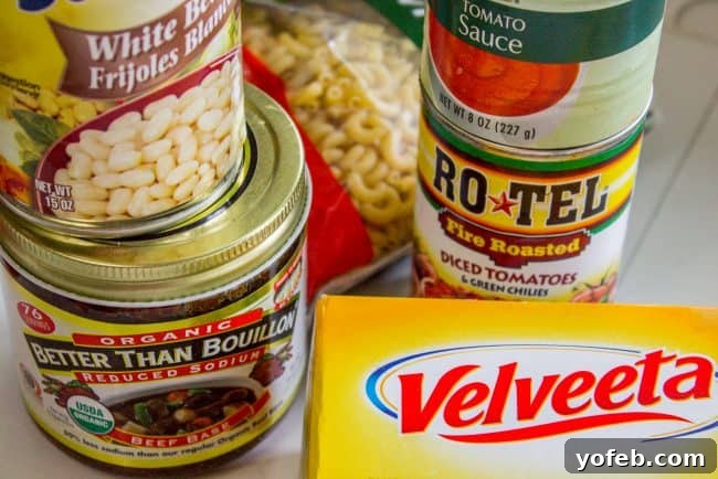 Chili Mac and Cheese Ingredients Layed Out Key ingredients for Chili Mac and Cheese, including Velveeta cheese, Rotel, dry elbow macaroni, tomato sauce, white beans, and Better Than Bouillon beef base.