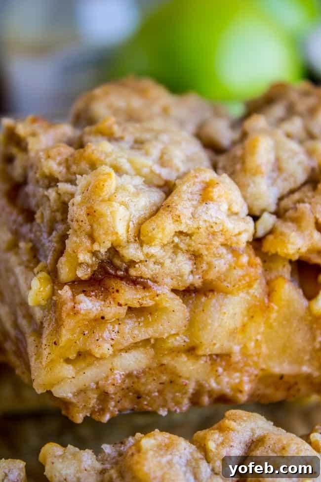 Apple Pie Bars: The Best Handheld Apple Dessert apple pie bars