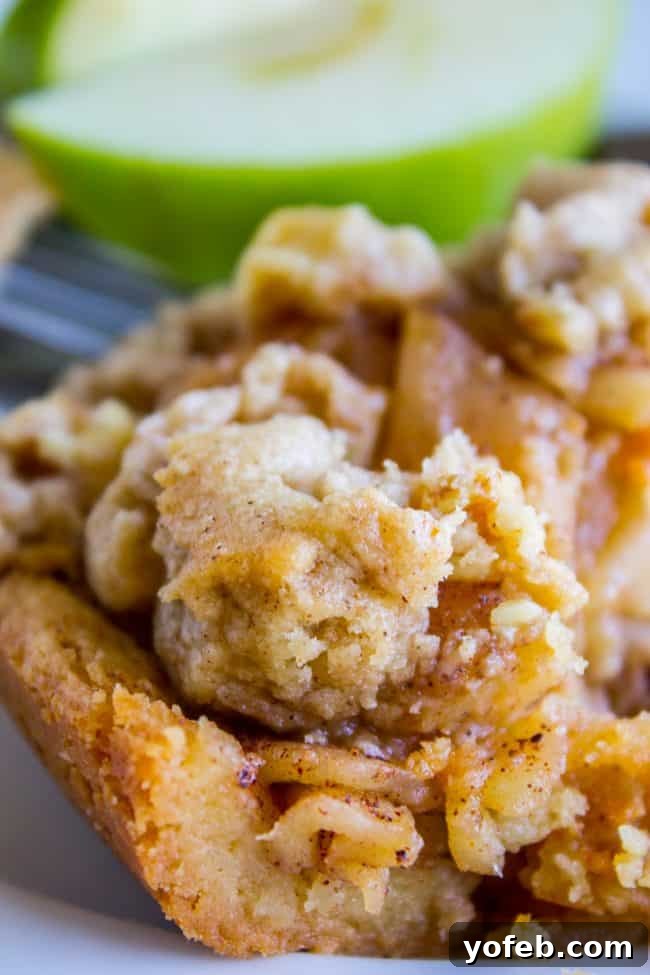 Delicious Apple Dessert Recipes for Autumn apple dessert recipes