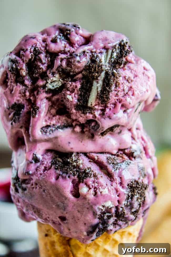 Creamy Black Raspberry Oreo Ice Cream, a delightful homemade summer treat Rich Black Raspberry Oreo Ice Cream with a generous swirl, perfect for summer dessert