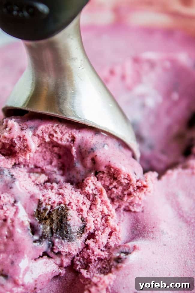 Delicious homemade raspberry ice cream for summer Homemade Black Raspberry Ice Cream in a cone, ready to be enjoyed