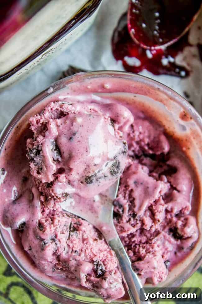 Summertime homemade blackberry ice cream dessert Close-up of creamy homemade Blackberry Ice Cream with rich texture