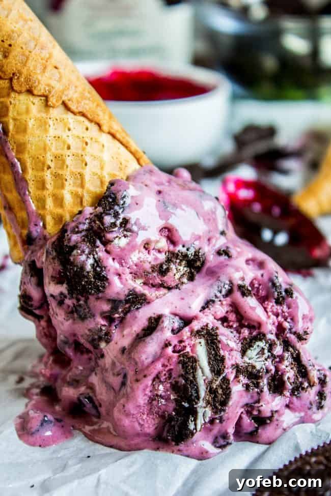 Indulgent homemade Oreo ice cream, a perfect sweet treat Homemade Oreo Ice Cream mixed with fruity black raspberry swirls