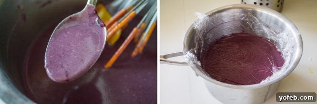 Visual guide on how to make black raspberry ice cream recipe Step-by-step process of how to make black raspberry ice cream at home