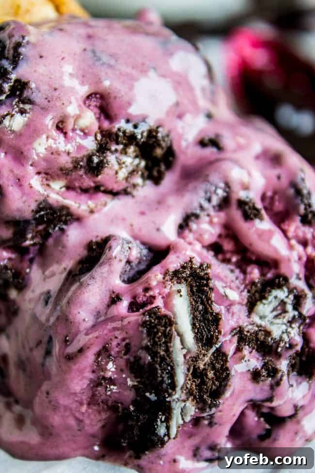 Homemade Oreo ice cream with black raspberry swirl Scoops of homemade Oreo Ice Cream with berry swirls, a perfect dessert