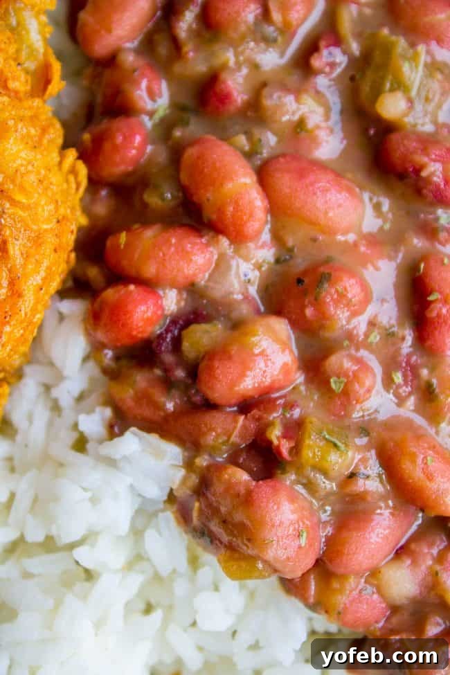 Soulful Cajun Red Beans and Rice 10 Red Beans on top of white rice with fried chicken
