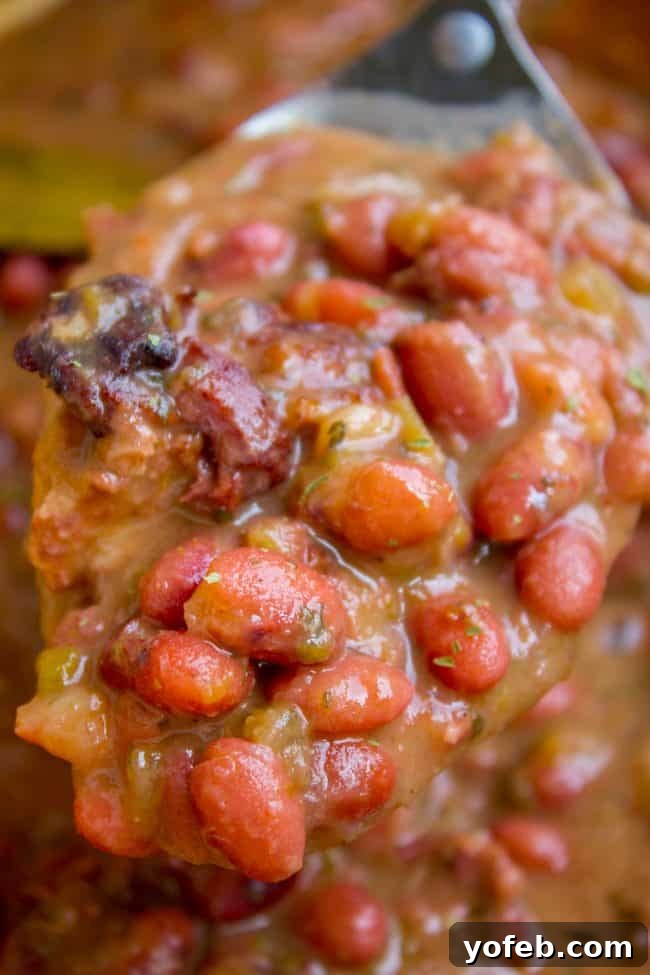 Soulful Cajun Red Beans and Rice 3 A large serving spoon scooping a generous portion of thick, creamy red beans from a pot, showcasing their rich texture.