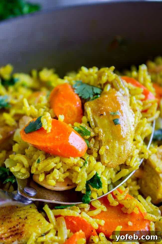 Aromatic Indian Chicken Biryani 13 Indian Chicken Curry with carrots, a hearty and aromatic dish.