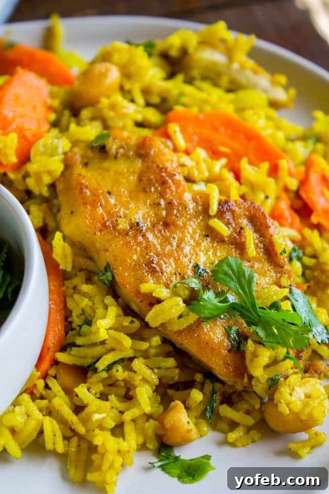 Aromatic Indian Chicken Biryani 5 A serving of Stovetop Chicken Biryani on a white plate, garnished with fresh cilantro, ready to be enjoyed.