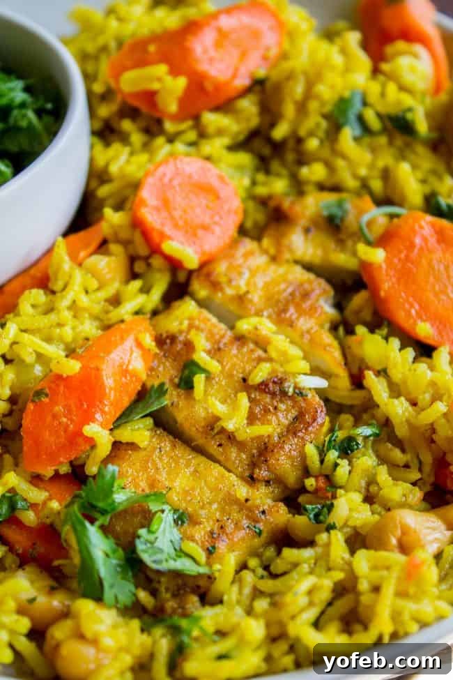 Aromatic Indian Chicken Biryani 6 Plate of Indian Chicken Curry, a delicious and quick stovetop meal for busy weeknights.