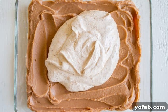 Carols Epic Seven Layer Bean Dip 8 layered bean dip with sour cream.