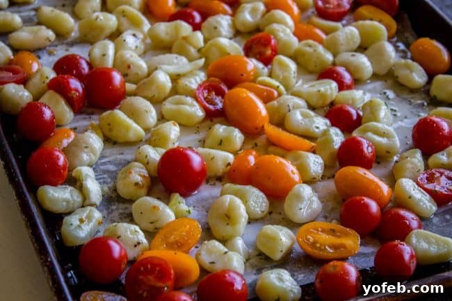 Close-up of fluffy gnocchi, vibrant cherry tomatoes, and creamy mozzarella, perfectly seasoned and ready to enjoy.