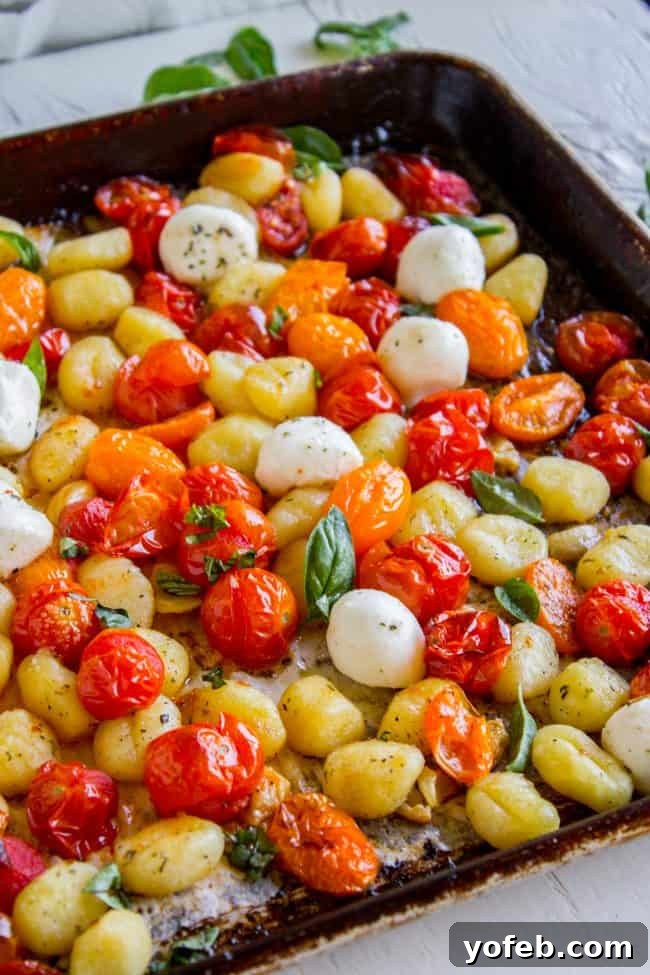 A vibrant close-up of sheet pan gnocchi with perfectly blistered cherry tomatoes, scattered fresh basil leaves, and creamy mozzarella pearls.