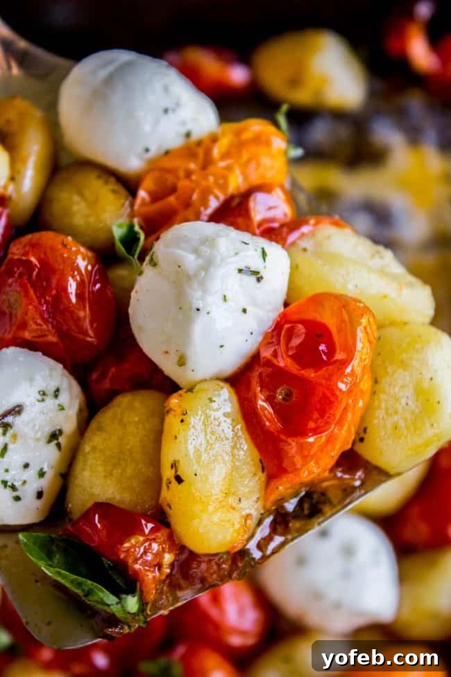 A generous serving of Sheet Pan Gnocchi, adorned with fresh basil and parmesan cheese, ready to be enjoyed.
