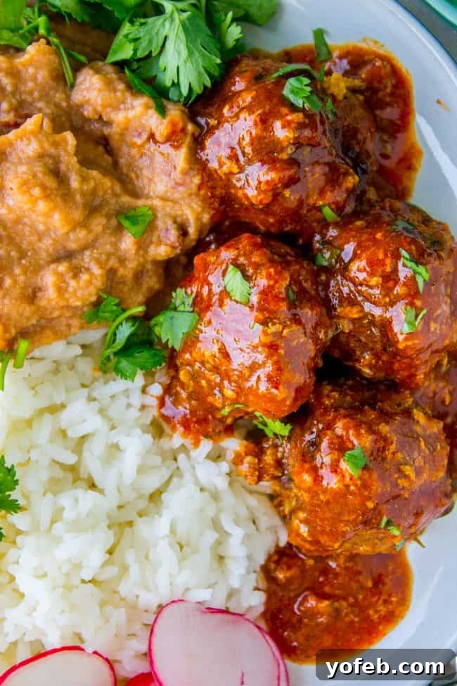 The Complete Easy Baked Mexican Meatballs Recipe Dish A dish of Easy Baked Mexican Meatballs recipe, garnished with cilantro.