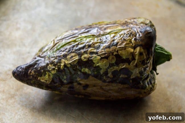 How to Perfectly Roast a Poblano Pepper A poblano pepper roasting under a broiler to blister the skin.