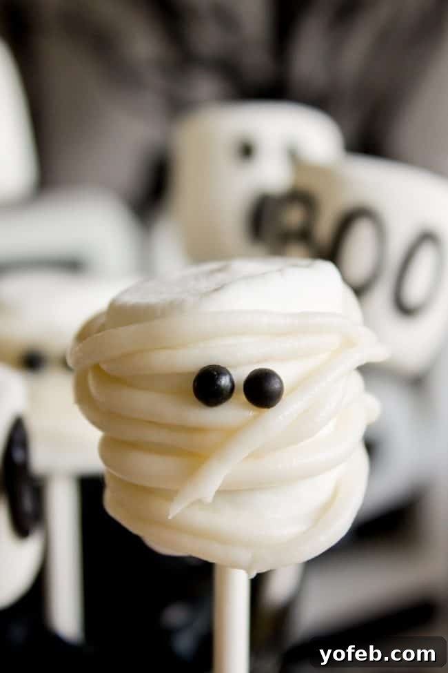 Simple Ghost Marshmallow Pop: An easy Halloween decoration and treat. A close-up image of a ghostly white marshmallow pop on a stick, featuring simple, hand-drawn black eyes and a mouth for a classic spooky Halloween look.